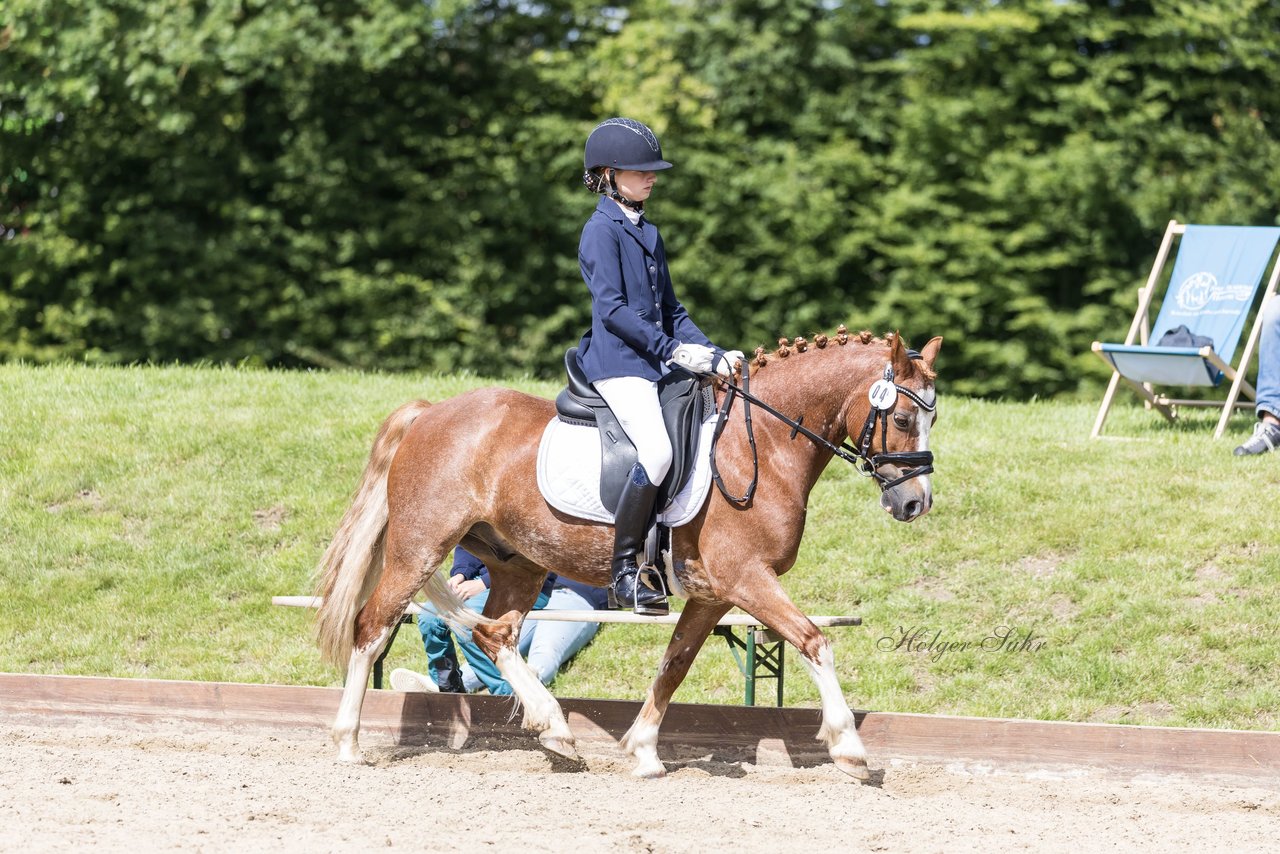Bild 637 - Pony Akademie Turnier